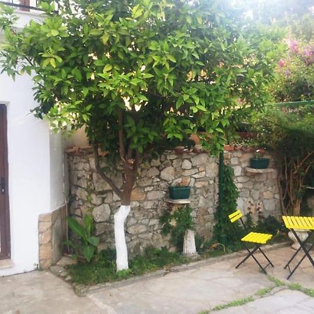 Nehir Dalyan Boutique Otel Ortaca  Kültér fotó