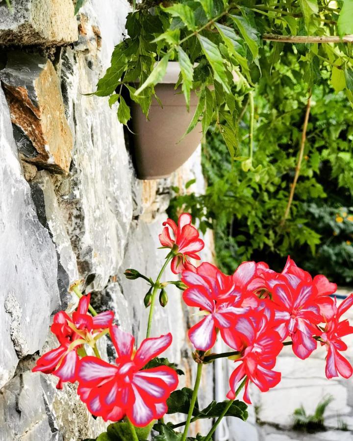 Nehir Dalyan Boutique Otel Ortaca  Kültér fotó